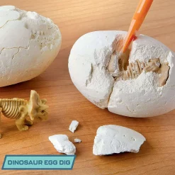 Coupon 👏 Pocket ⌚ Watch Ryan's World Mystery Dig Dino Playset 🌟 -Halo shop ryanmystdinoset inset2