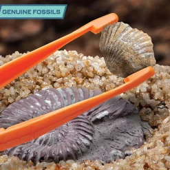 Coupon 👏 Pocket ⌚ Watch Ryan's World Mystery Dig Dino Playset 🌟 -Halo shop ryanmystdinoset inset3